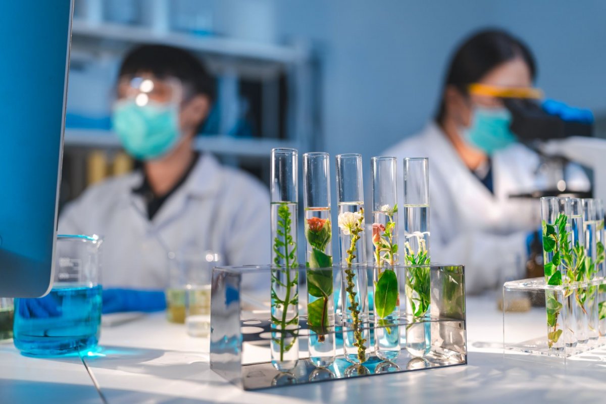 Pesquisa e Biotecnologia